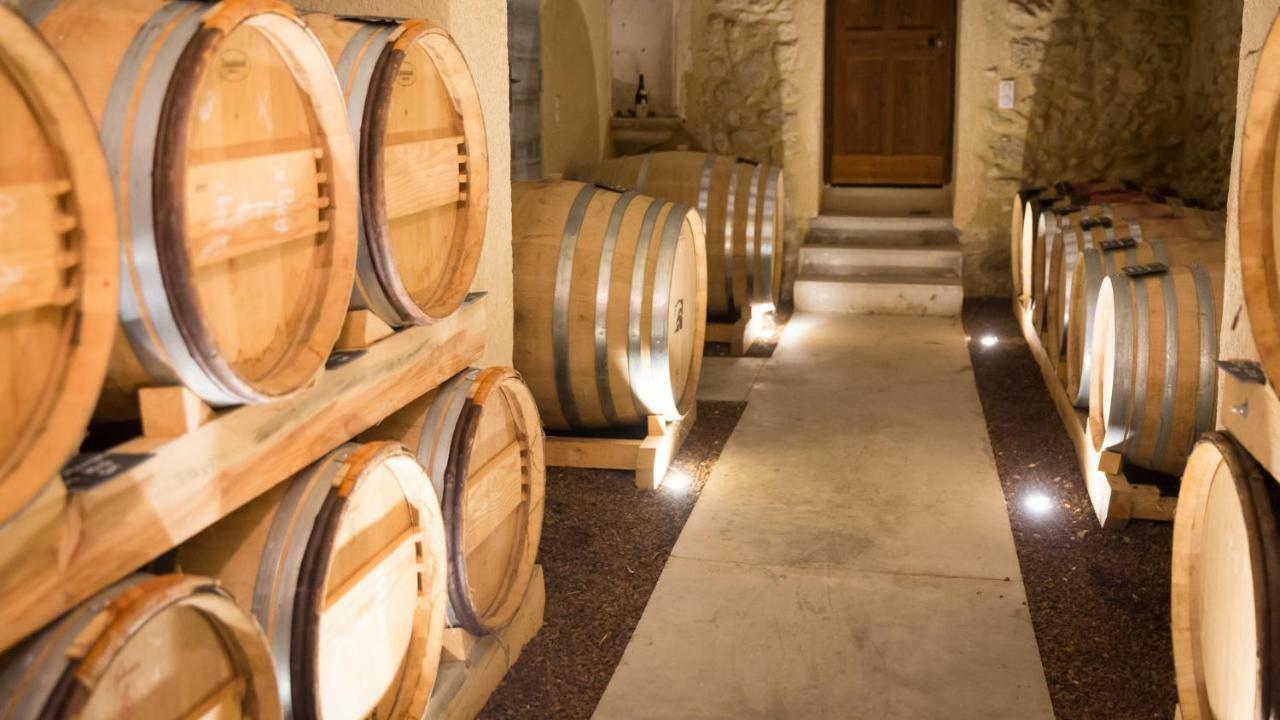 Chateau La Croix Des Pins マザン エクステリア 写真